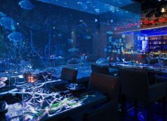 吸引眼球的全息投影餐飲店鋪設(shè)計(jì)有哪些優(yōu)勢(shì)